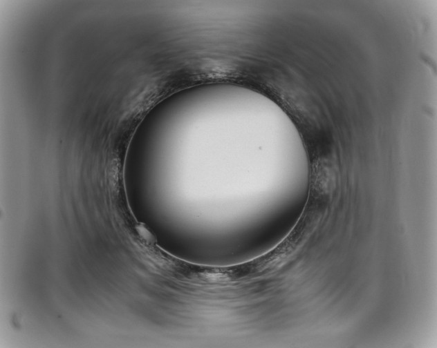 X0000097300509200802151442