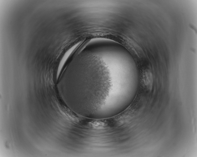 X0000097300512200802151442