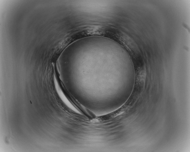 X0000097300513200802151442