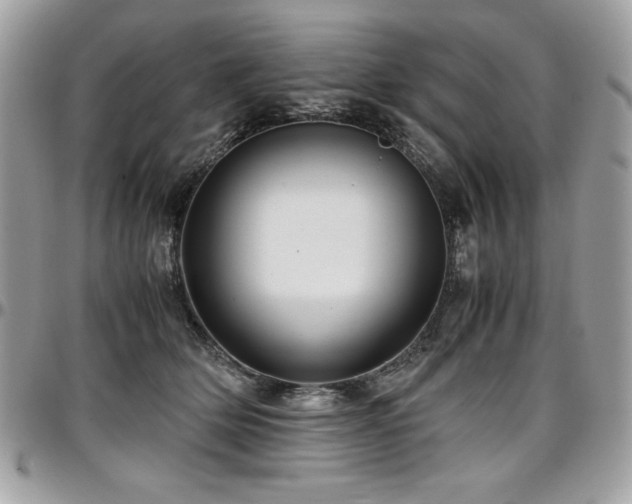X0000097300514200802151442