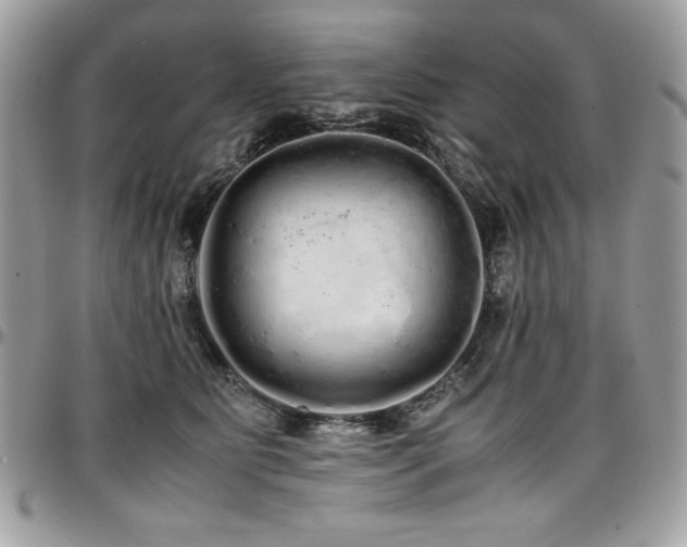 X0000097300515200802151441