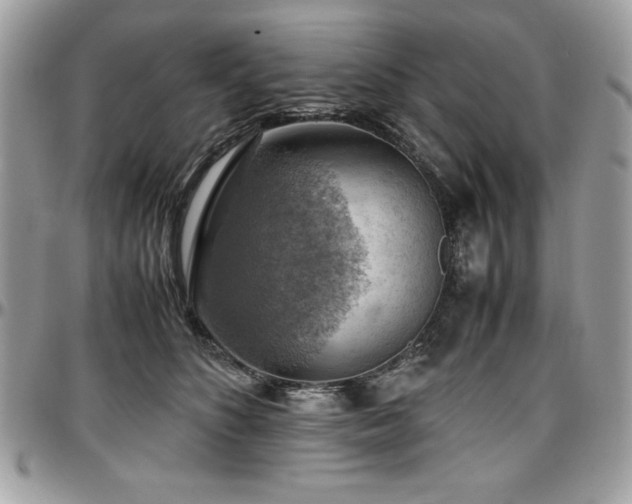 X0000097300516200802151441