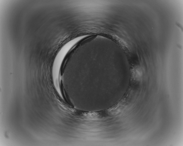 X0000097300517200802151441