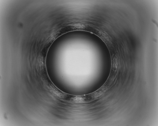 X0000097300518200802151441