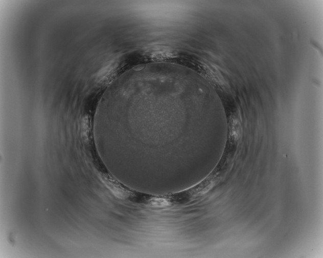 X0000097300519200802151441