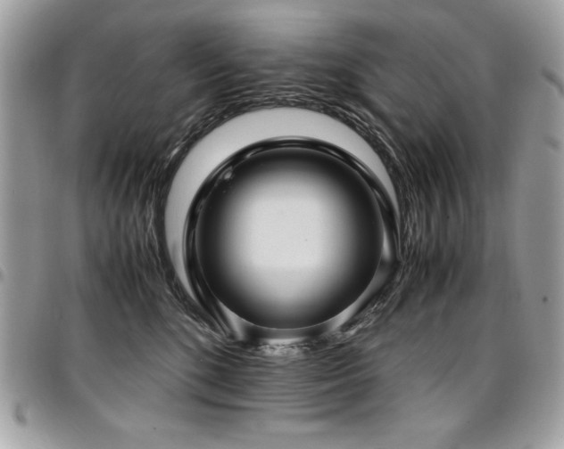 X0000097300520200802151441
