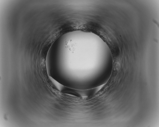 X0000097300521200802151441