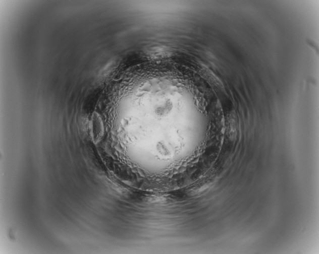 X0000097300523200802151441