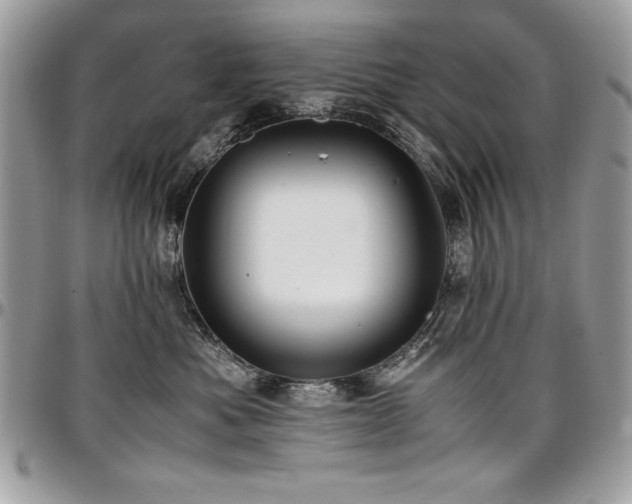 X0000097300525200802151441