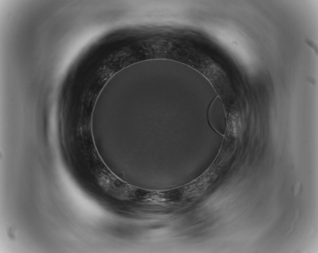 X0000097300526200802151441