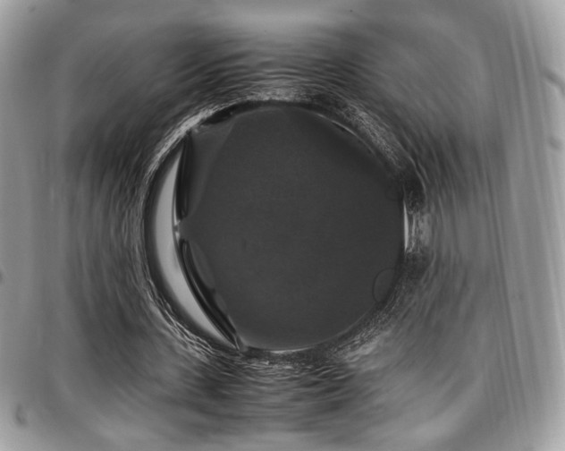 X0000097300531200802151441