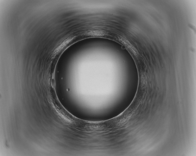 X0000097300533200802151441