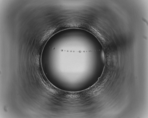 X0000097300537200802151441