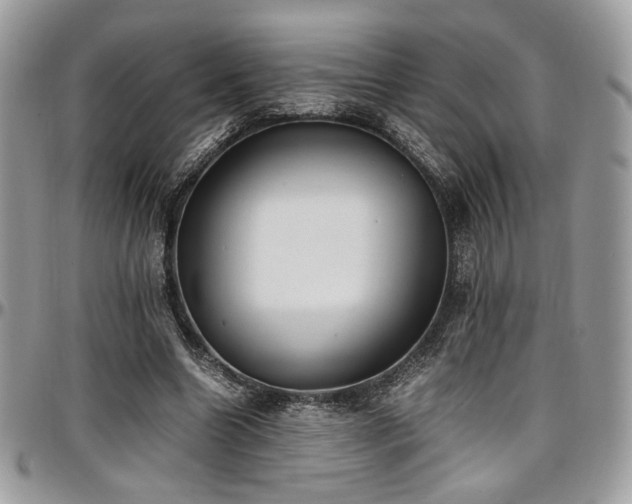 X0000097300538200802151441