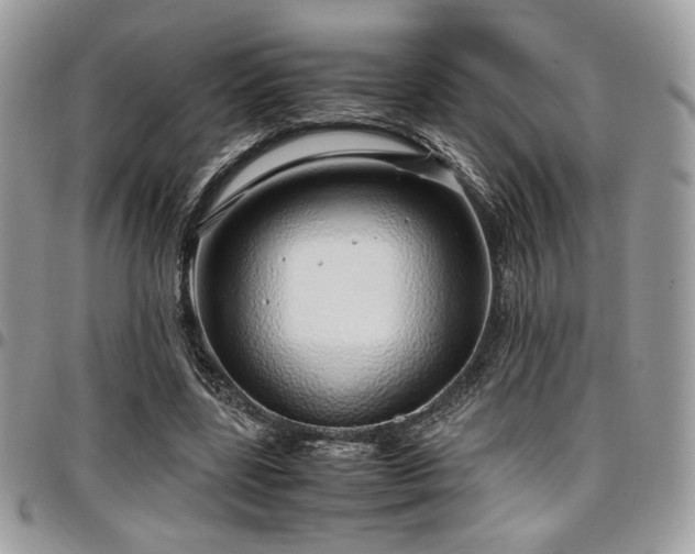 X0000097300539200802151441