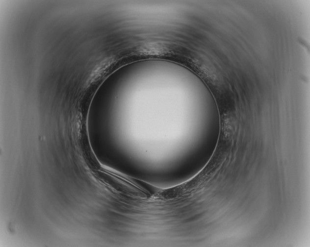 X0000097300544200802151441
