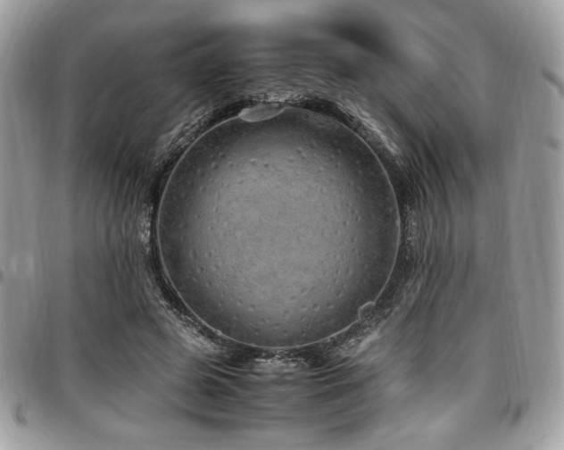 X0000097300545200802151441