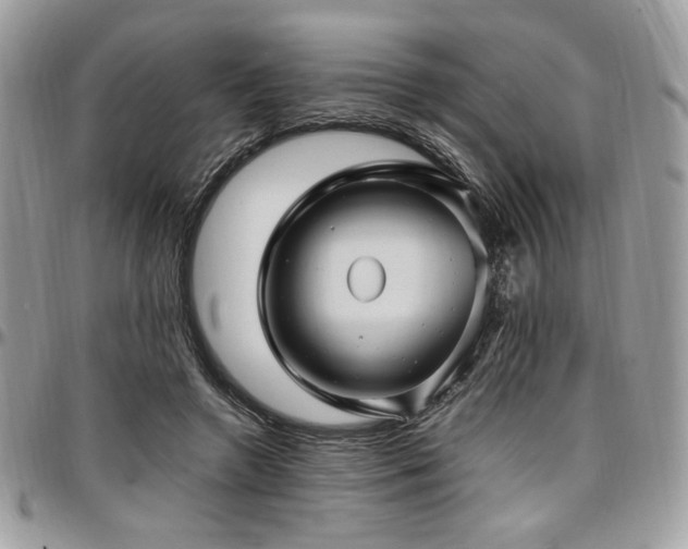 X0000097300546200802151441