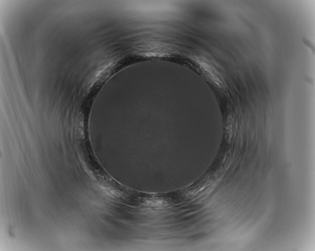 X0000097300547200802151441