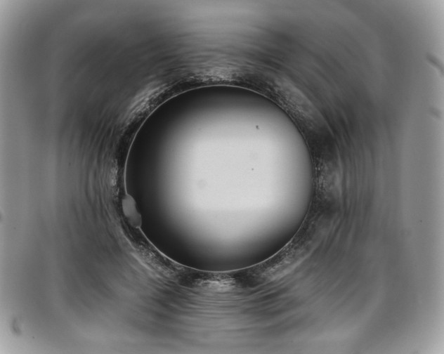 X0000097300548200802151441