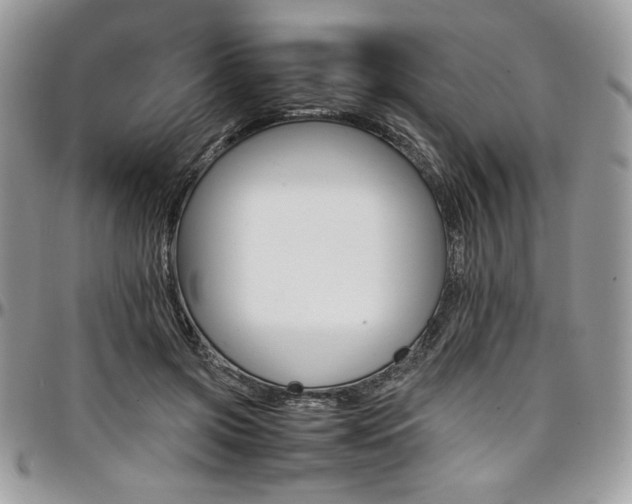 X0000097300549200802151441