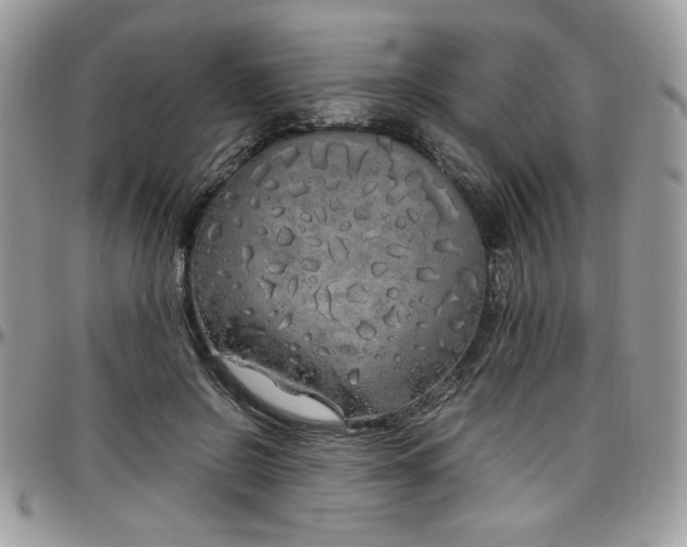 X0000097300550200802151441