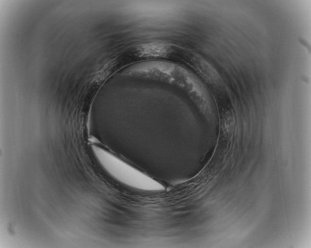 X0000097300551200802151441