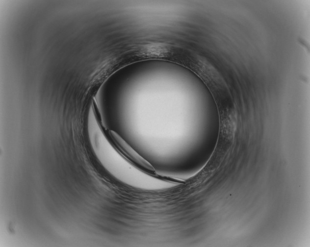 X0000097300552200802151441