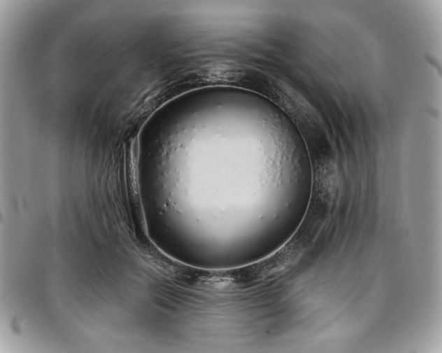 X0000097300554200802151441