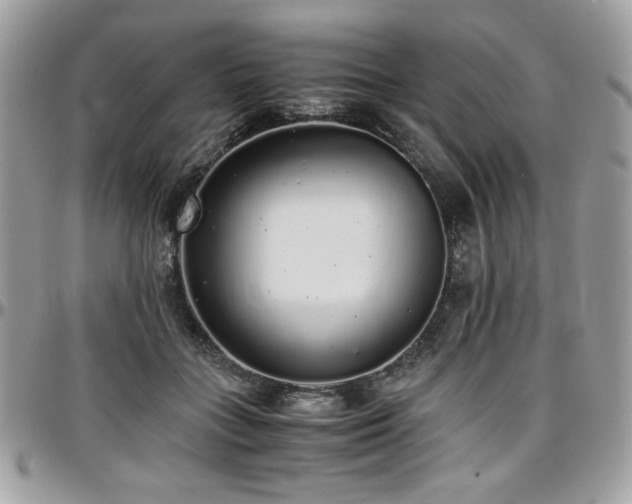 X0000097300555200802151441