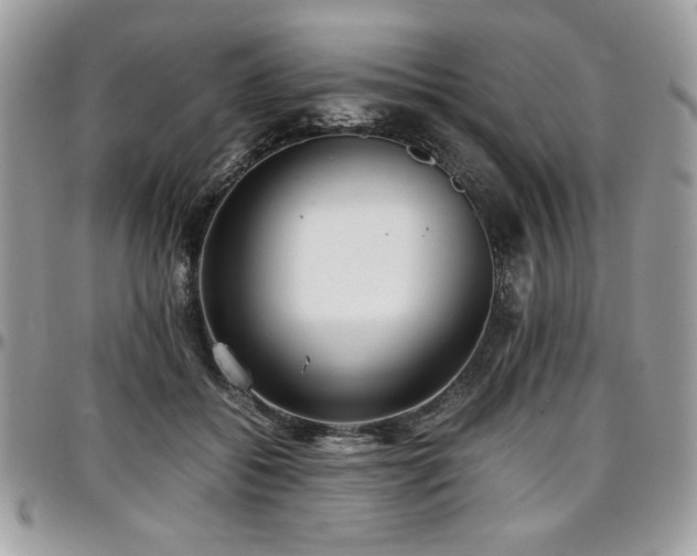 X0000097300556200802151441