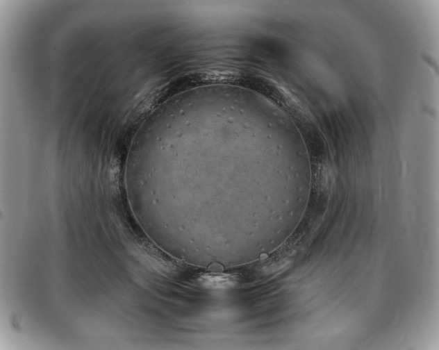 X0000097300557200802151441