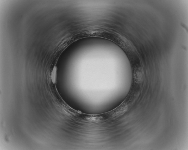X0000097300558200802151441