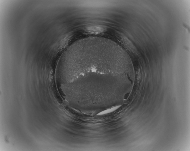 X0000097300559200802151441