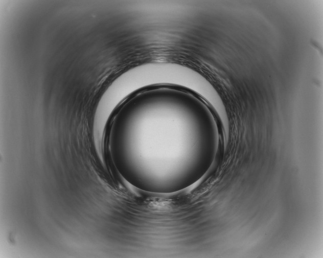 X0000097300560200802151441