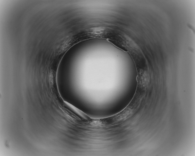X0000097300562200802151441