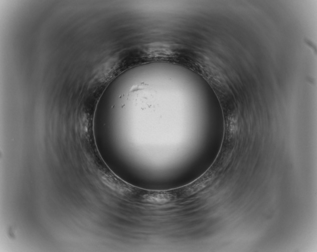 X0000097300567200802151441