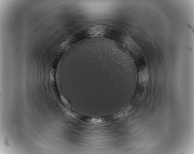 X0000097300570200802151441