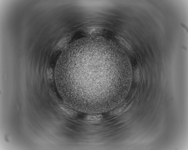 X0000097300571200802151441