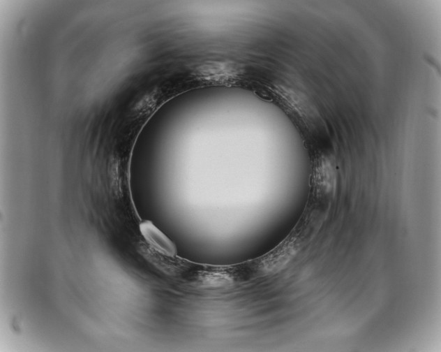 X0000097300572200802151441