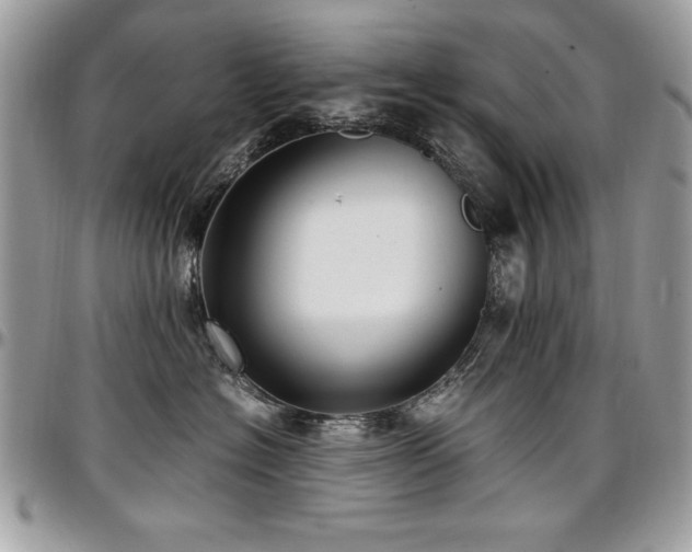 X0000097300574200802151441