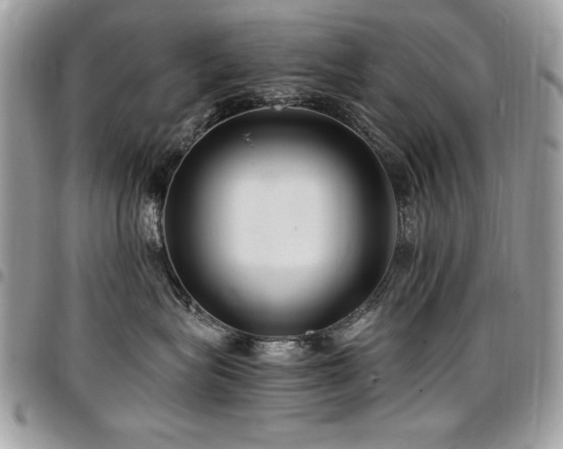 X0000097300575200802151441