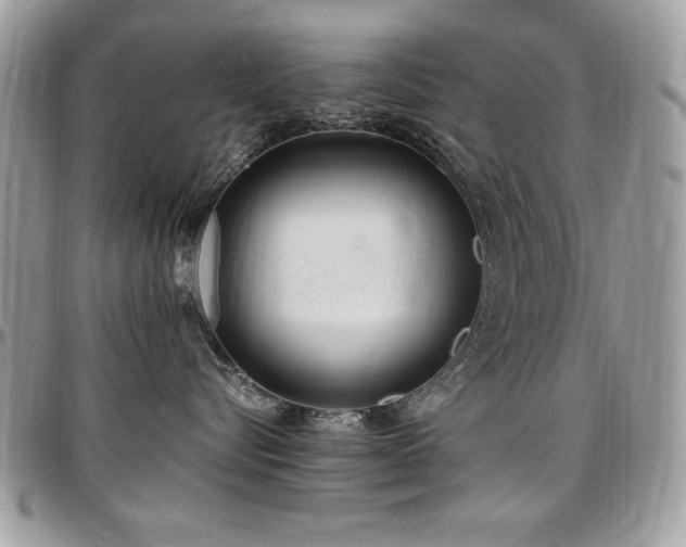 X0000097300576200802151441