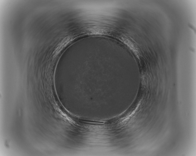 X0000097300577200802151441