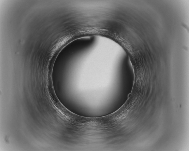 X0000097300578200802151441
