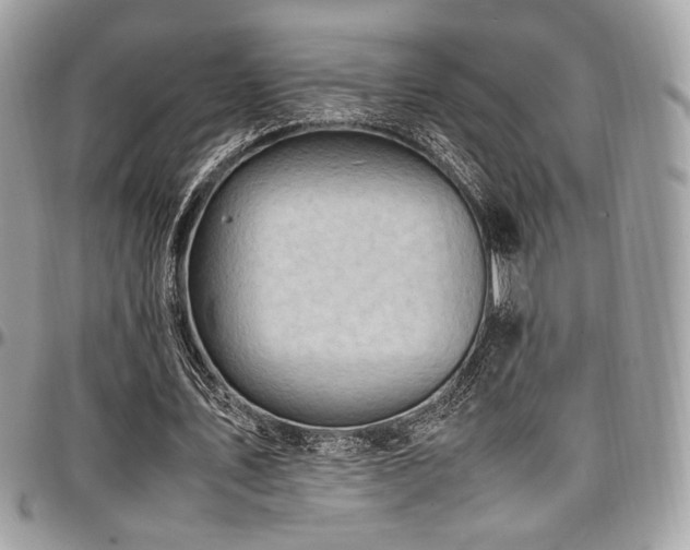 X0000097300579200802151441
