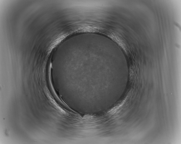 X0000097300581200802151441