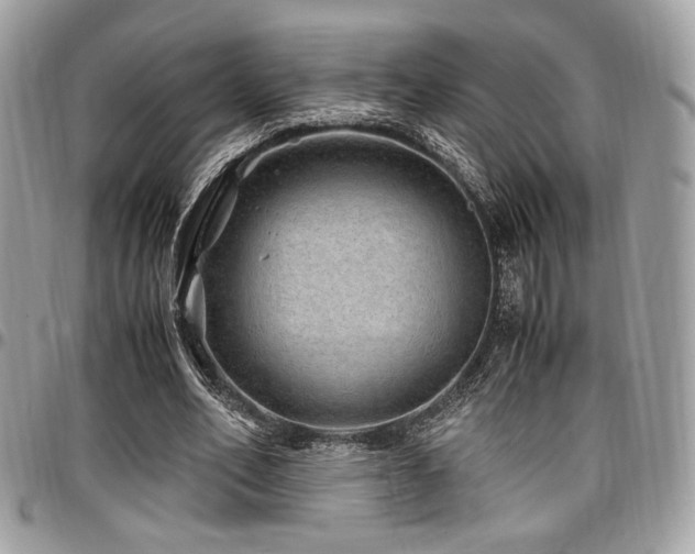 X0000097300582200802151441