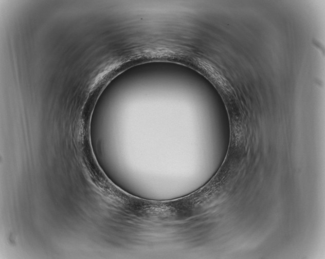 X0000097300583200802151441