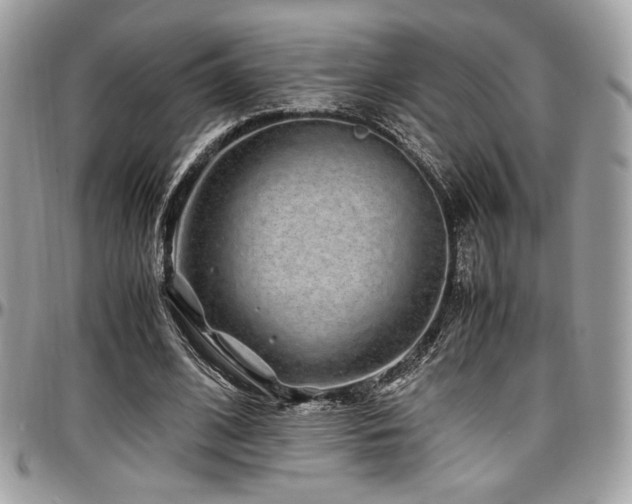 X0000097300584200802151441
